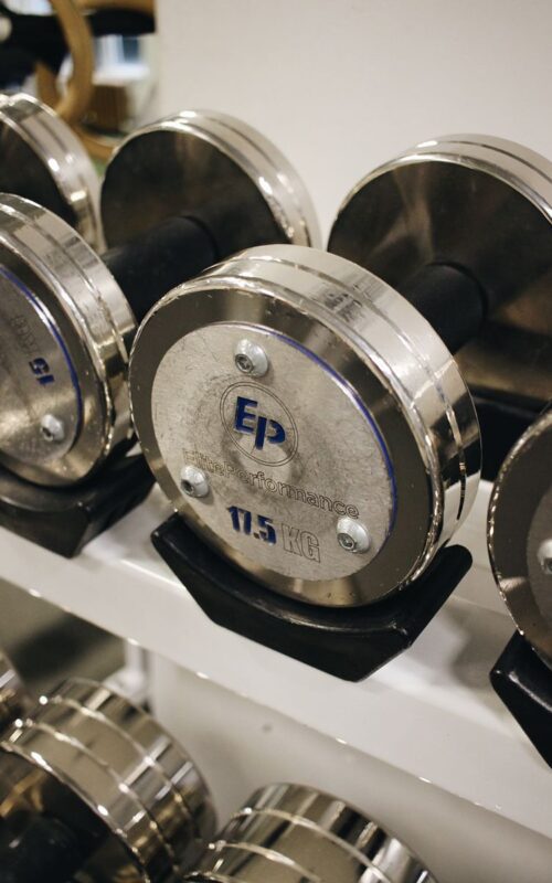 Elite Performance | Personal Trainers & Small Group Fitness in Downtown Vancouver - elite performance vancouver equipment 25 500x800