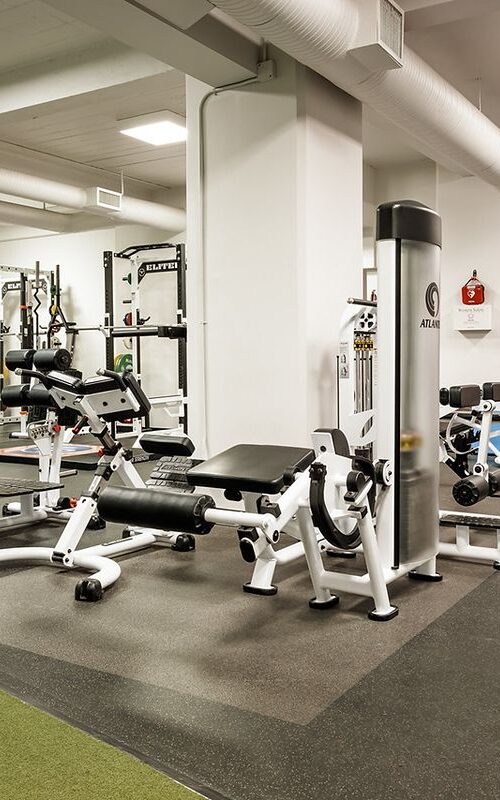 Elite Performance | Personal Trainers & Small Group Fitness in Downtown Vancouver - elite performance vancouver gym 42 1 500x800
